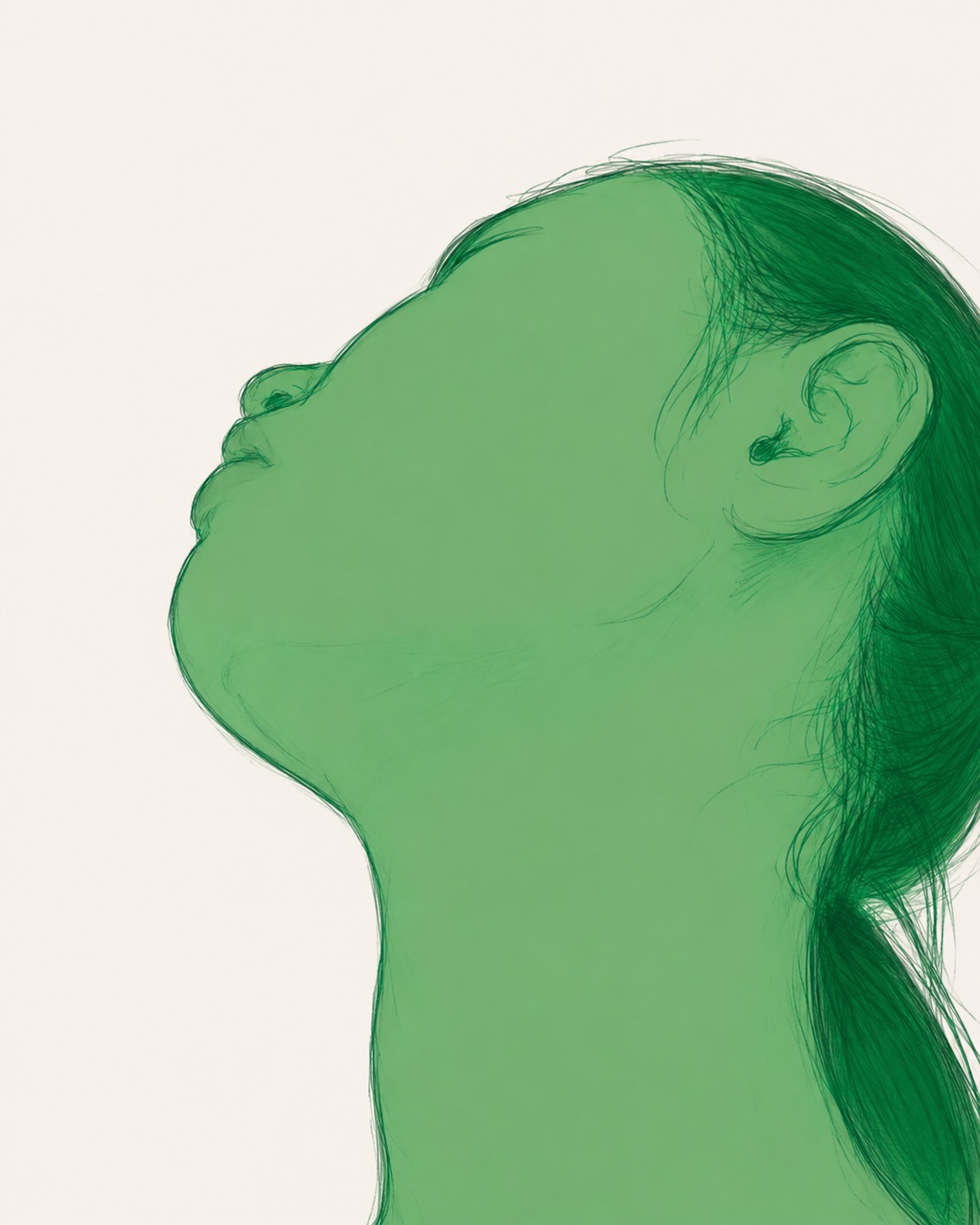 Line-drawn profile used to illustrate the face scan